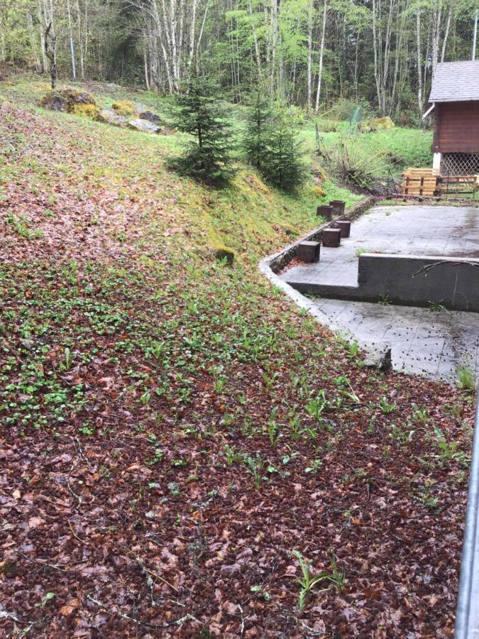 Le Refuge Apparts Et 1Chalets A Samoens 74 Esterno foto